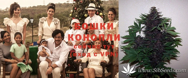 прущая мука Гусиноозёрск