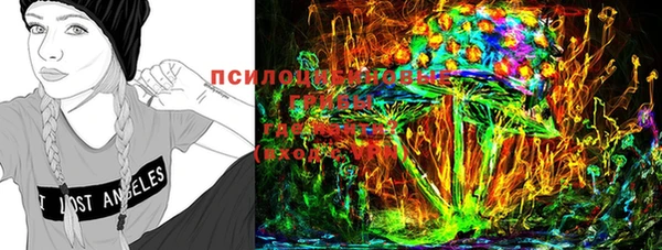 прущая мука Гусиноозёрск