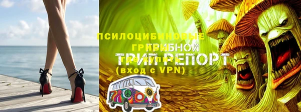 прущая мука Гусиноозёрск