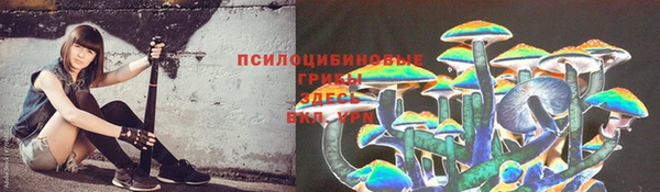первитин Гусев