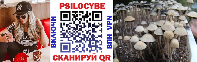 Купить  Саянск  Псилоцибиновые грибы мухоморы 